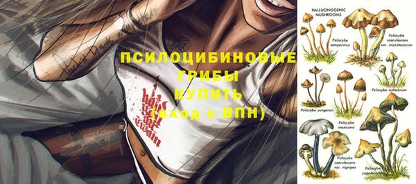 альфа пвп Белокуриха